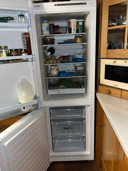 Photo of free Fridge/freezer shelves & drawers (Rhydycroesau SY10) #1