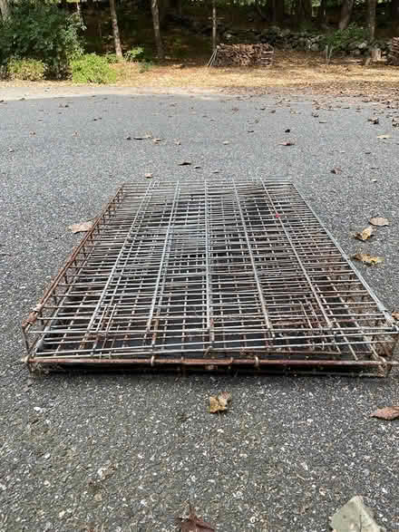 Photo of free Collapsible metal dog crate (Dunstable, MA) #2