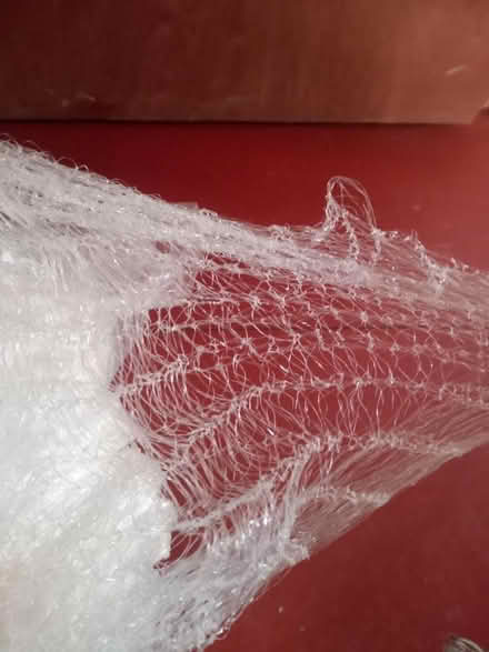 Photo of free Christmas tree netting (Pulborough) #3