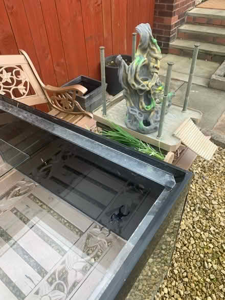 Photo of free Turtle tank plus plants etc (Crofton Wakefield) #3