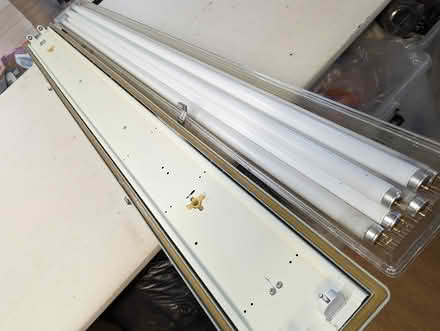 Photo of free Florescent tube lights (West Bexington DT2) #4