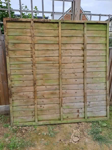 Photo of free 1 x Fence Panel (Hastings TN34) #1