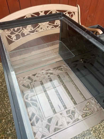 Photo of free Turtle tank plus plants etc (Crofton Wakefield) #1