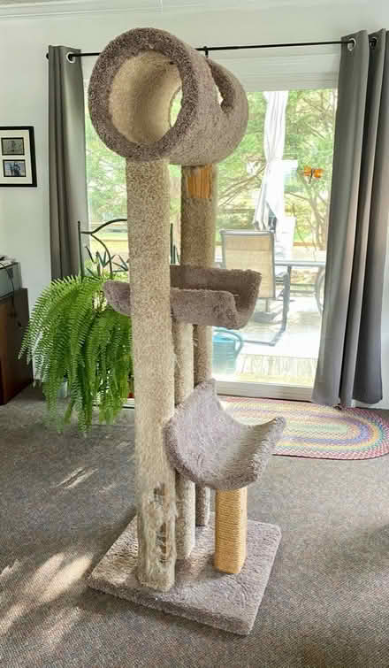 Photo of free Cat Tree (21774) #1