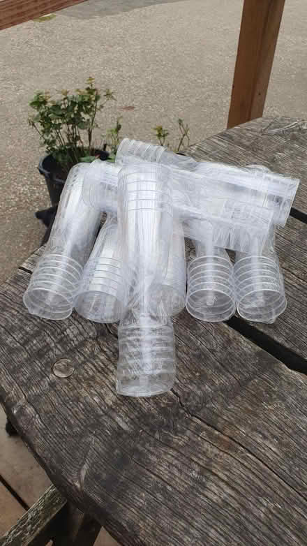 Photo of free Plastic wine glasses (Lower Green TN2) #2