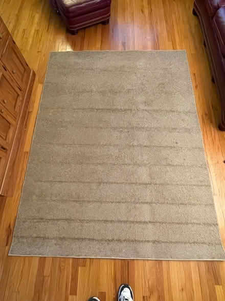 Photo of free 6x8 ft area rug (Farmington, MI) #1