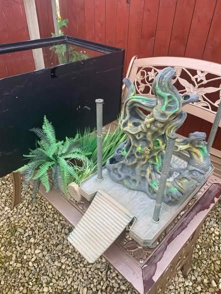 Photo of free Turtle tank plus plants etc (Crofton Wakefield) #2