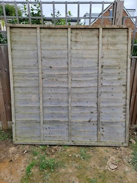 Photo of free 1 x Fence Panel (Hastings TN34) #2
