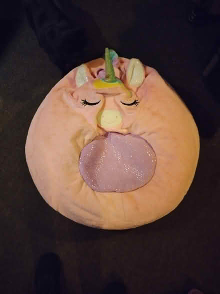 Photo of free Child's unicorn bean bag chair (Mayfair, Philadelphia 19135) #1