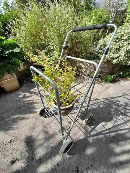 Photo of free Trolley (for outside?) - Free, in functional condition (Bradford on Avon BA15) #1