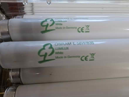 Photo of free Florescent tube lights (West Bexington DT2) #3