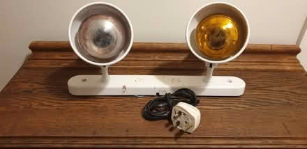 Photo of free Double light fitting (Craigmount EH12) #2