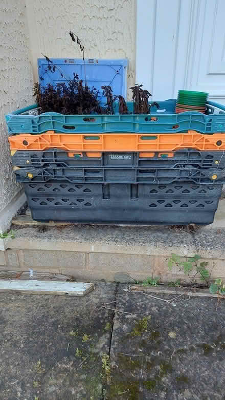 Photo of free Plastic storage trays (Norton LD8) #2