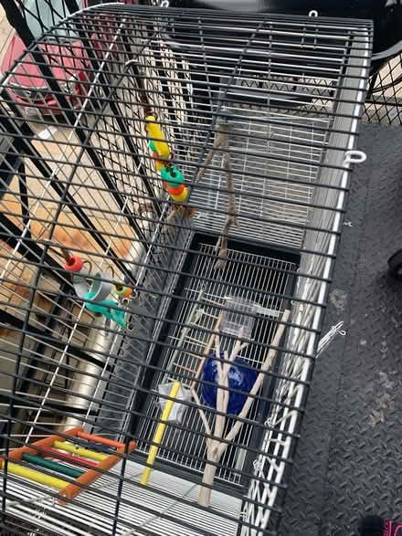 Photo of free Two bird cages (Washington Park) #3
