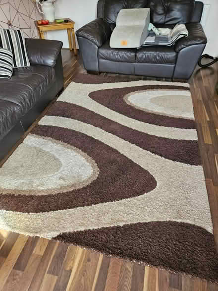 Photo of free Large rug. (Harbury CV33) #1