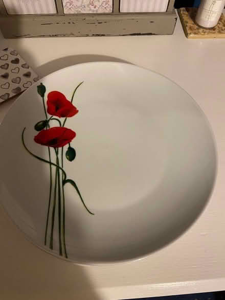 Photo of free Five poppy dinner plates (Hampden Park BN22) #2