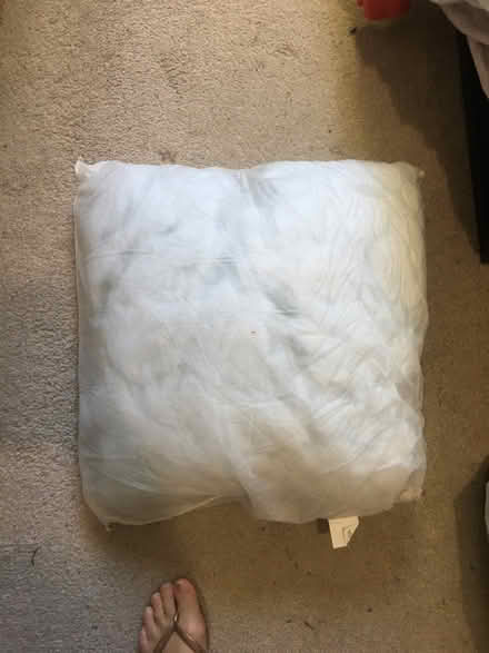 Photo of free Cushion inner (Brixton Hill SW2) #1