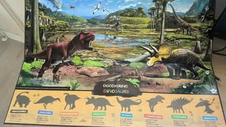 Photo of free Dinosaurs magnetic board + Mega Dino magnets (Heelands MK13) #2