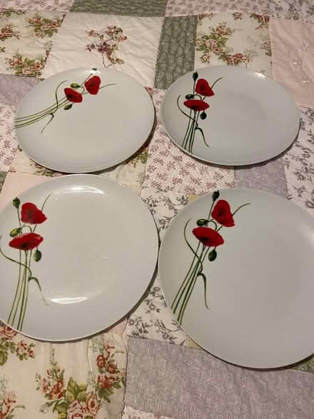 Photo of free Five poppy dinner plates (Hampden Park BN22) #3