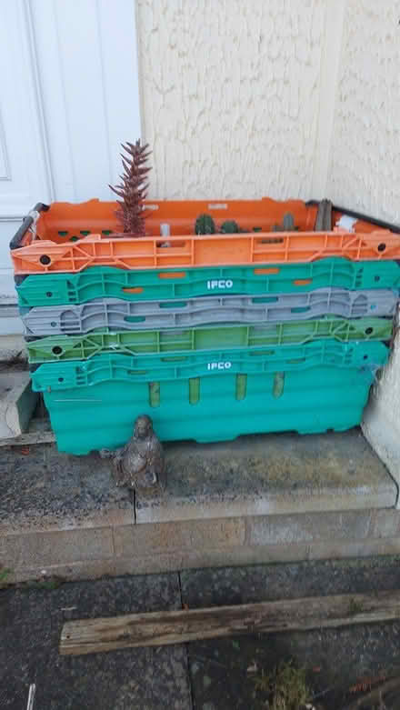 Photo of free Plastic storage trays (Norton LD8) #1