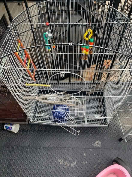 Photo of free Two bird cages (Washington Park) #4