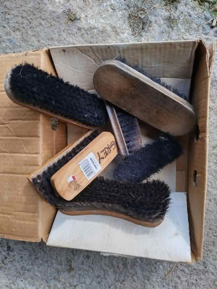 Photo of free Shoe brushes (Middleton DE4) #1