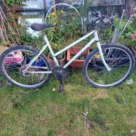 Photo of free Girls mountain bike (Hertford Heath SG13) #2