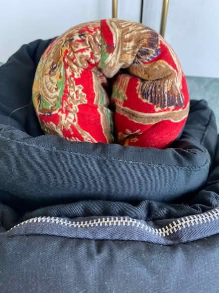 Photo of free Sleeping bag (Bernal Heights) #1