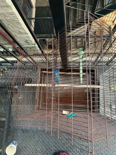 Photo of free Two bird cages (Washington Park) #2