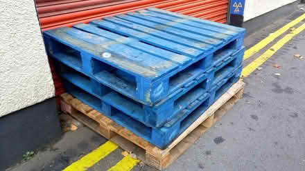 Photo of free Used Wooden Pallets (EH8) #1