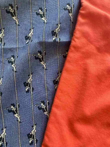Photo of free Fabric scraps (Cricket Road OX4) #1