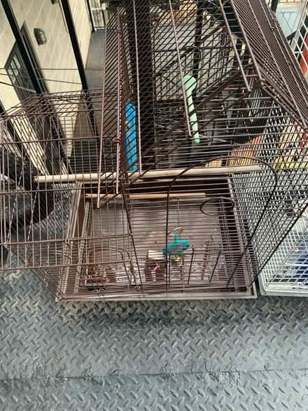 Photo of free Two bird cages (Washington Park) #1