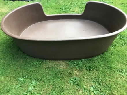 Photo of free Plastic Dog Bed (March PE15) #3