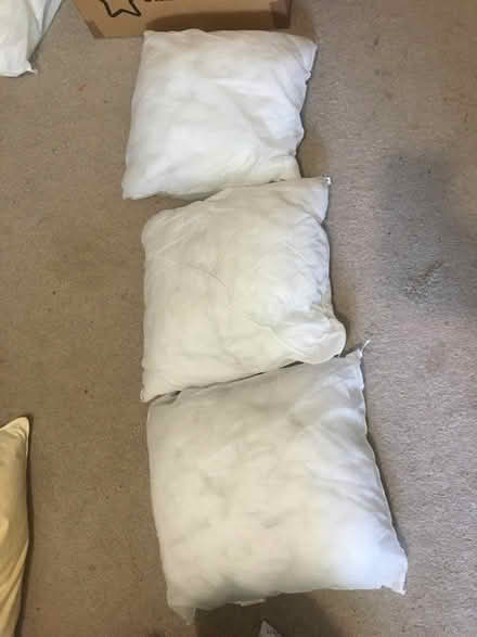 Photo of free Cushion inners (Brixton Hill SW2) #1