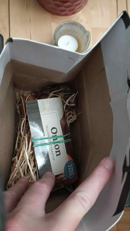 Photo of free Seed starter tray and onion sets (91605) #1