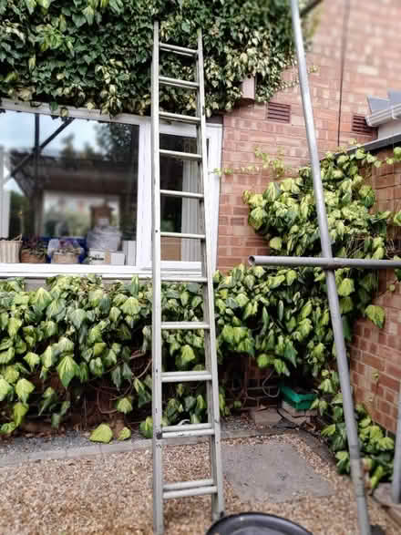 Photo of free Extension Ladder (Burbage) #1