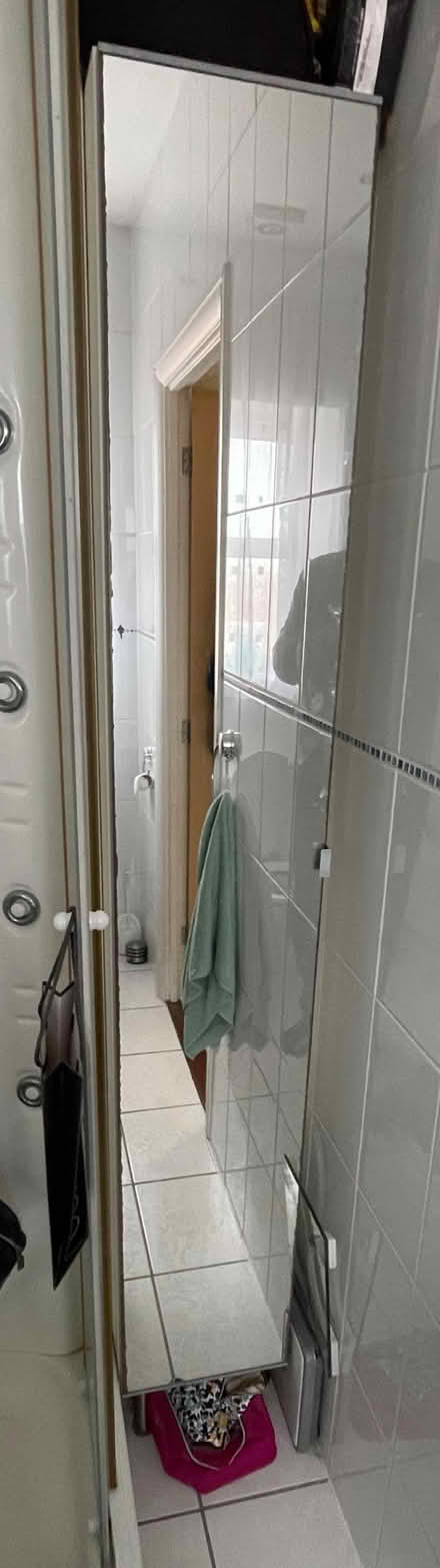 Photo of free Mirrored tall storage unit (Langney BN23) #1