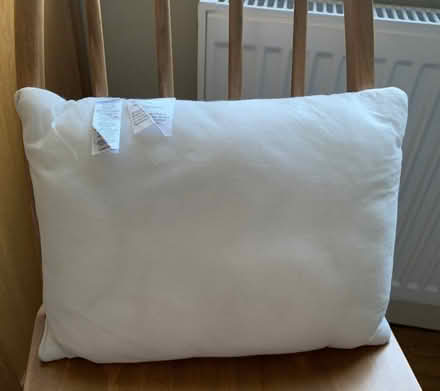 Photo of free Rectangular cushion pad (polyester filling) (Mitcham's Corner CB4) #1