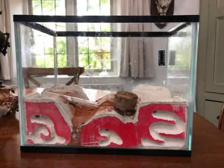Photo of free Fish tank/Ant Farm (Kingston Bagpuize OX13) #2