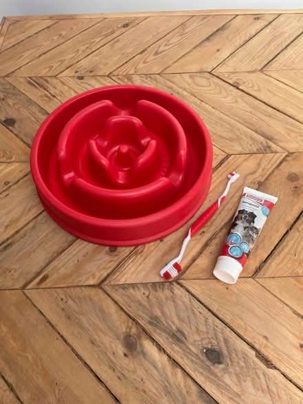 Photo of free Selection of dog/puppy items (South Benfleet SS7) #3