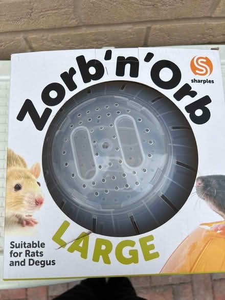 Photo of free Rodent ball (Rackheath) #1