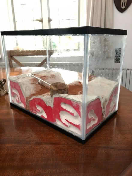 Photo of free Fish tank/Ant Farm (Kingston Bagpuize OX13) #1