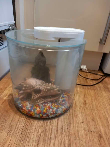Photo of free Small used fish tank (OL12) #2