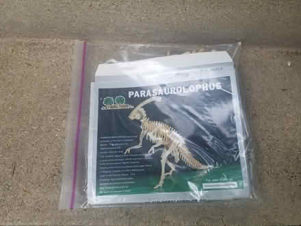 Photo of free Wooden Dinosaur Puzzle (Woodridge Dr/Hobson/Rt. 53) #1
