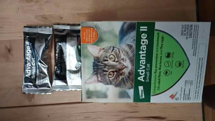 Photo of free Advantage small cat flea meds (91605) #1