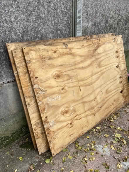 Photo of free Thick ply board (Crewe CW1) #1