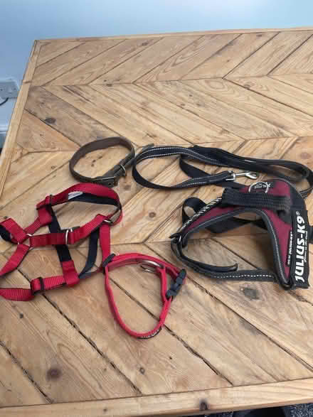 Photo of free Selection of dog/puppy items (South Benfleet SS7) #1