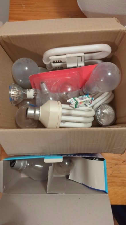 Photo of free Miscellaneous light bulbs (Shrewsbury, Castlefields) #1