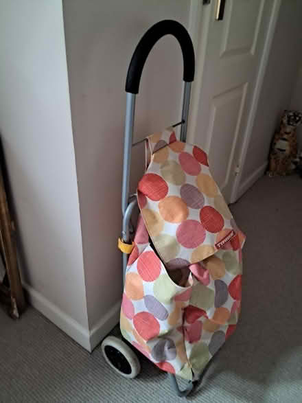 Photo of free Shopping trolley (Melksham forest area) #3