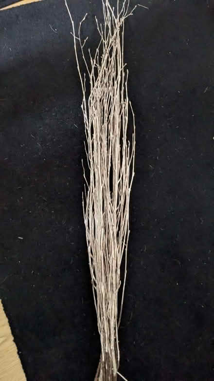 Photo of free A bunch of silver sprayed twigs for Decoration (Bayswater W2) #1